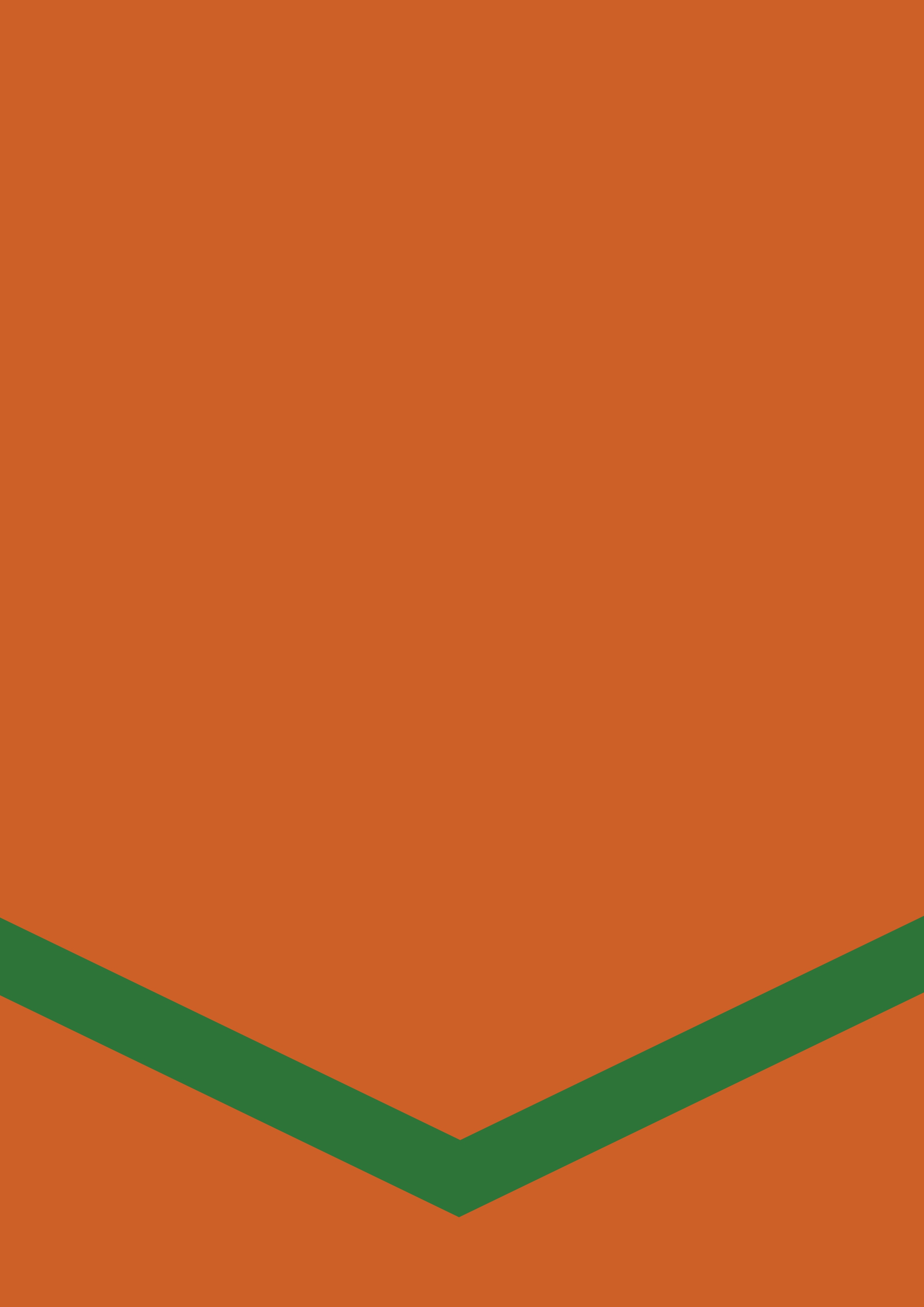 Crestview Scholarly Press | Cognitive Processes During Problem Solving ...